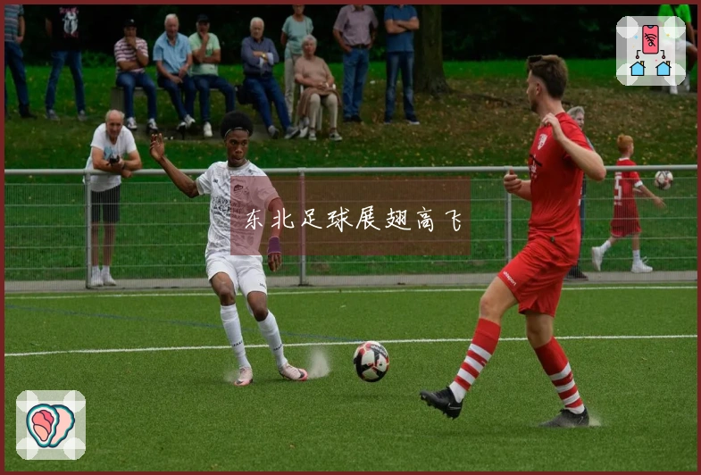东北足球展翅高飞