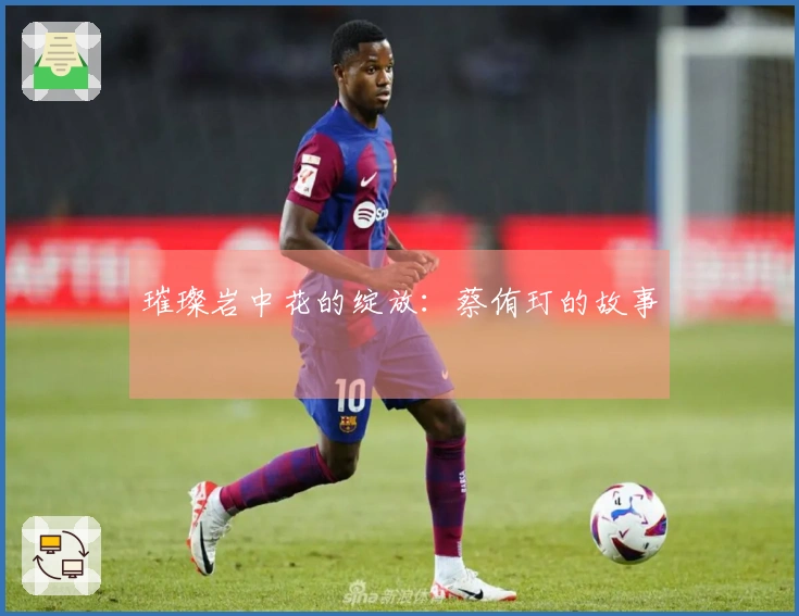 璀璨岩中花的绽放：蔡侑玎的故事