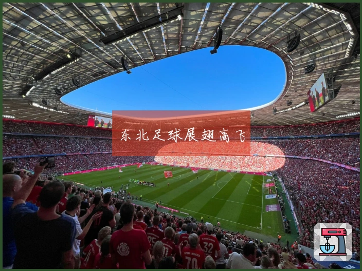 东北足球展翅高飞